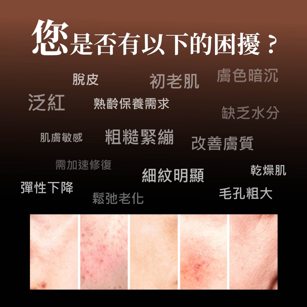 pdrn外泌體全效精華原液