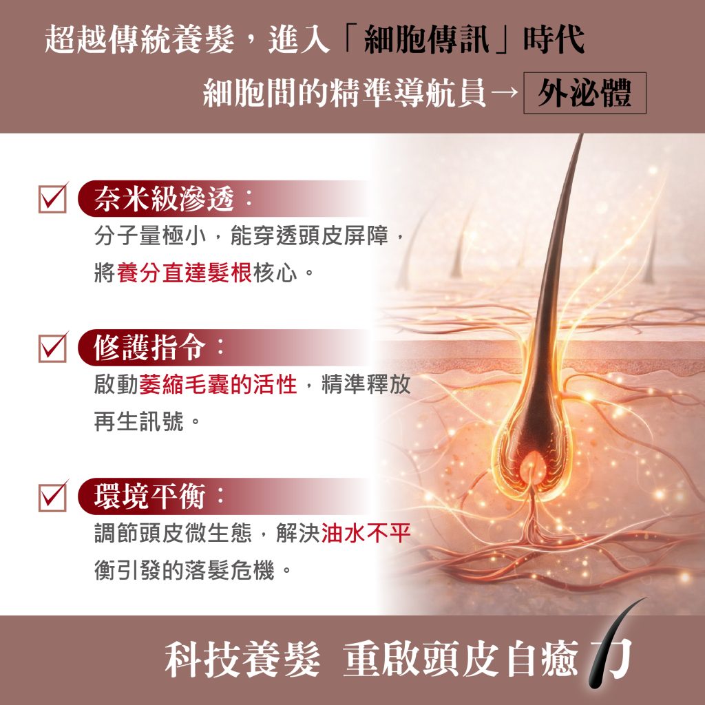外泌體生薑養髮洗髮精