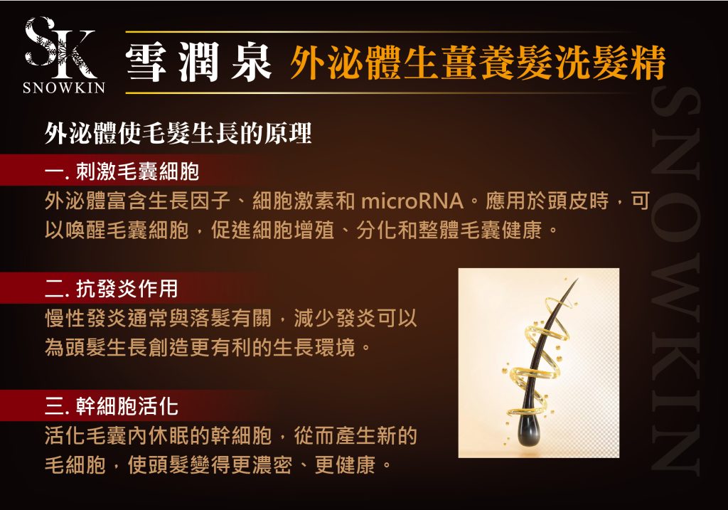 外泌體生薑養髮洗髮精 2